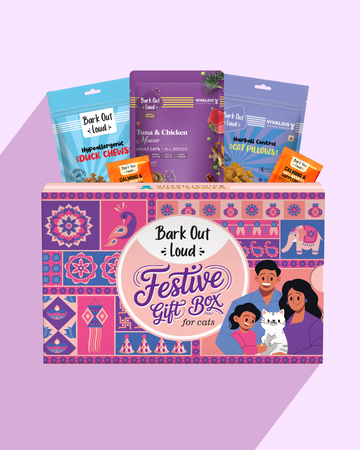 Festive Gift Box for Cats